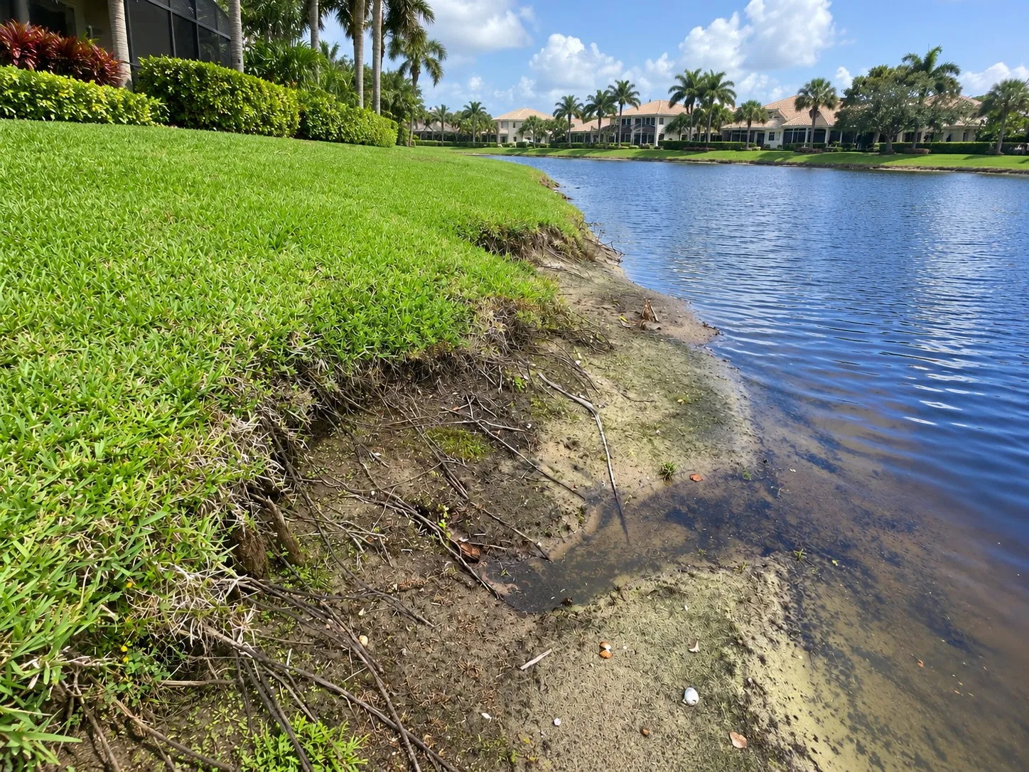 The edge of a lawn at a lake, undercut so that bare roots hang over wet sand and shallow water.