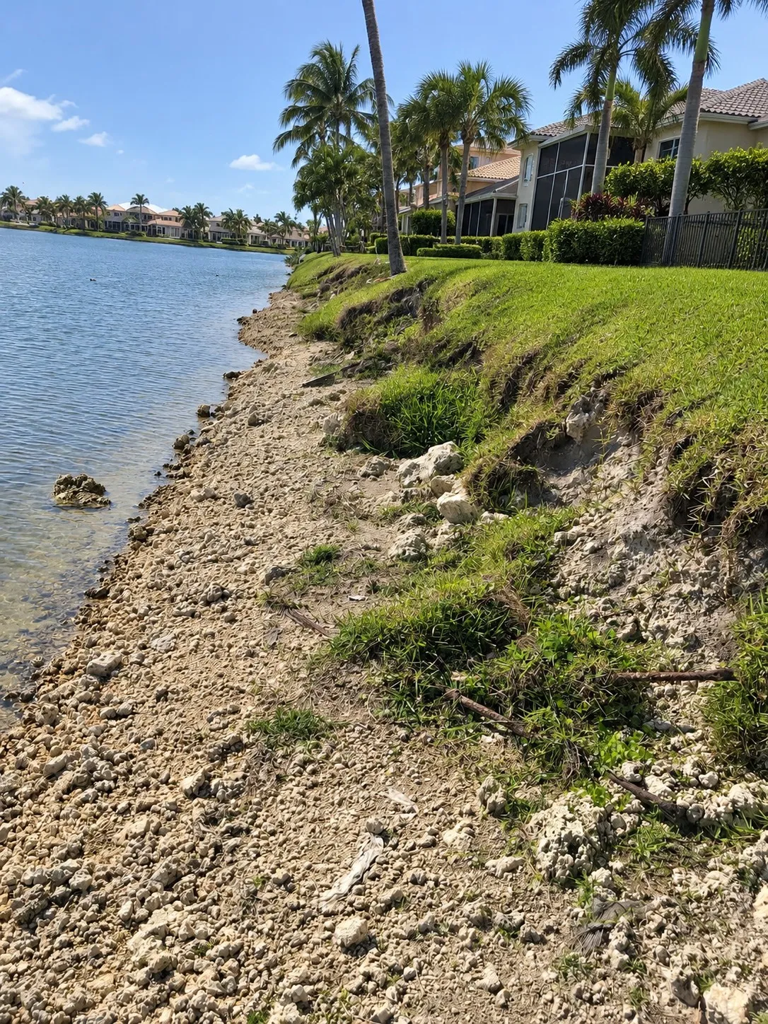 A lake bank broken away at the water: the lawn ends in a ragged, undercut edge above a wide strip of loose rock and sand, with houses and palms along the shore.